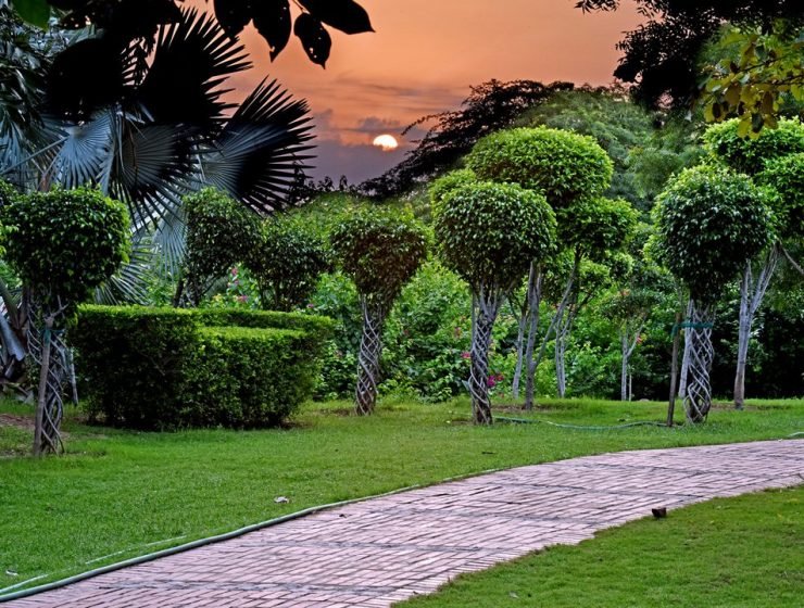 garden-of-five-senses-delhi-5-attr-hero