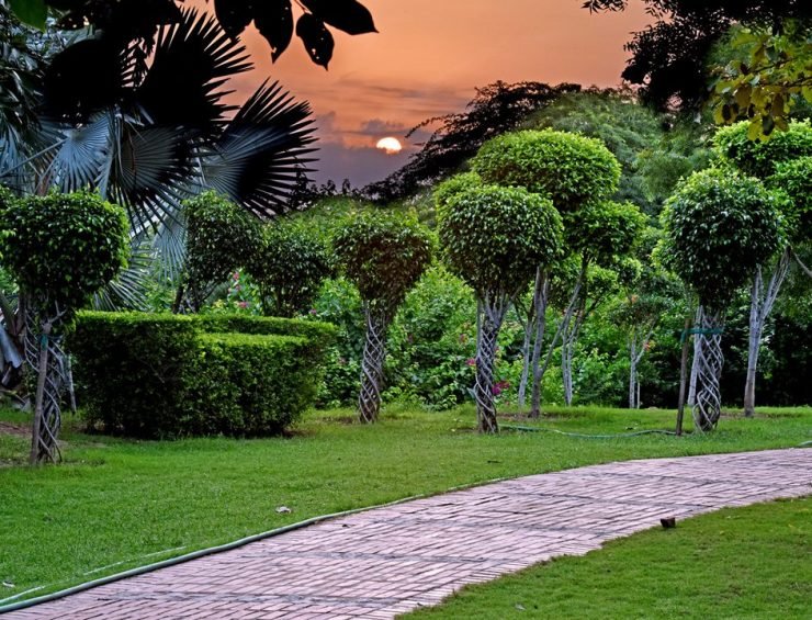 garden-of-five-senses-delhi-5-attr-hero